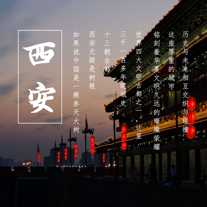 西安旅游 博物館+大雁塔+城墻+鐘鼓樓 市內(nèi)包車一日游(一朝入西安 一日懂千年)當(dāng)?shù)叵驅(qū)эL(fēng)趣講解 可代訂景點門票
